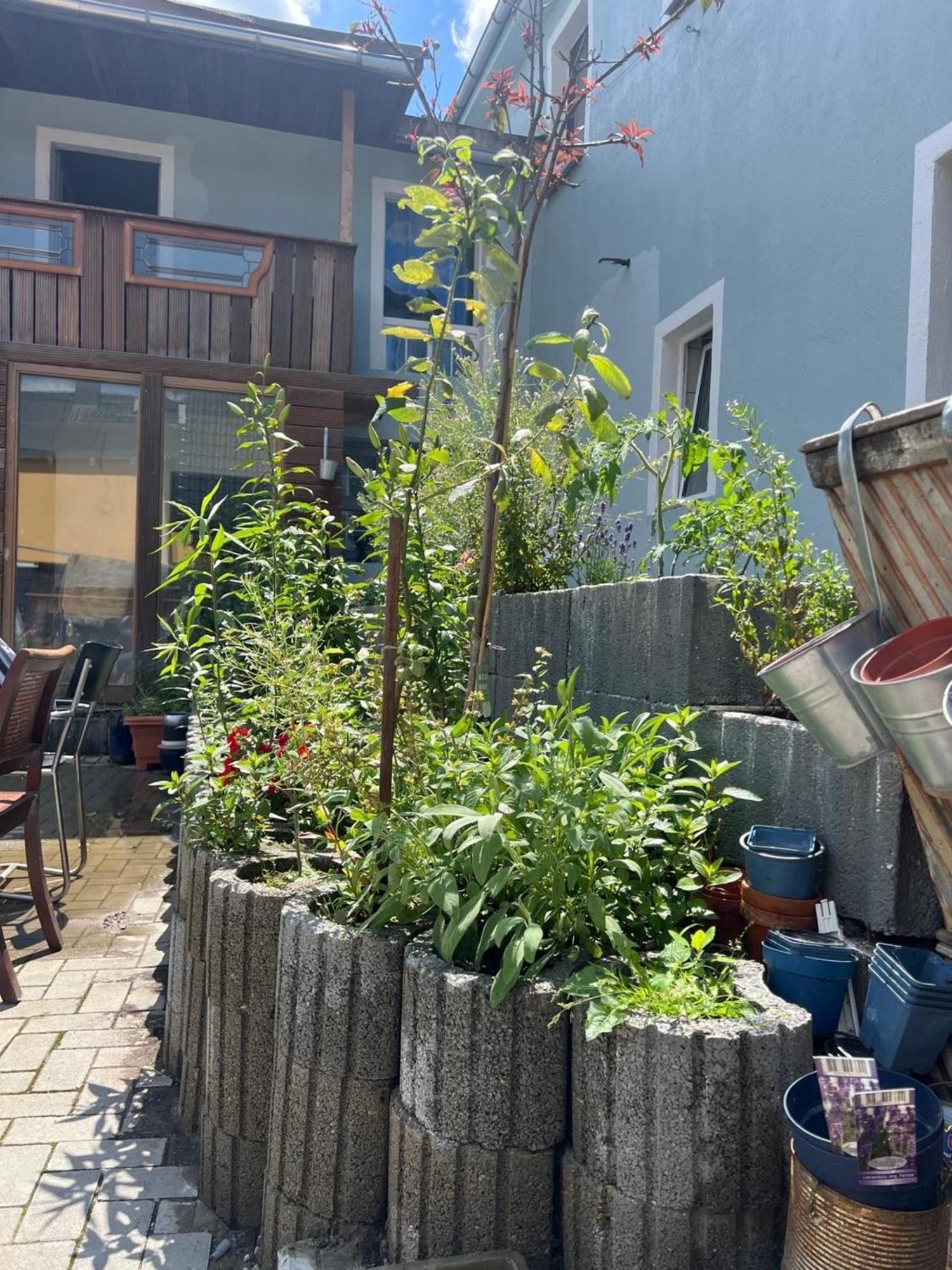 Ferienwohnung Antike Wohnmoeglichkeit Kurz Und Langfristig 100Qm Erdgeschoss Lauchhammer Exterior foto