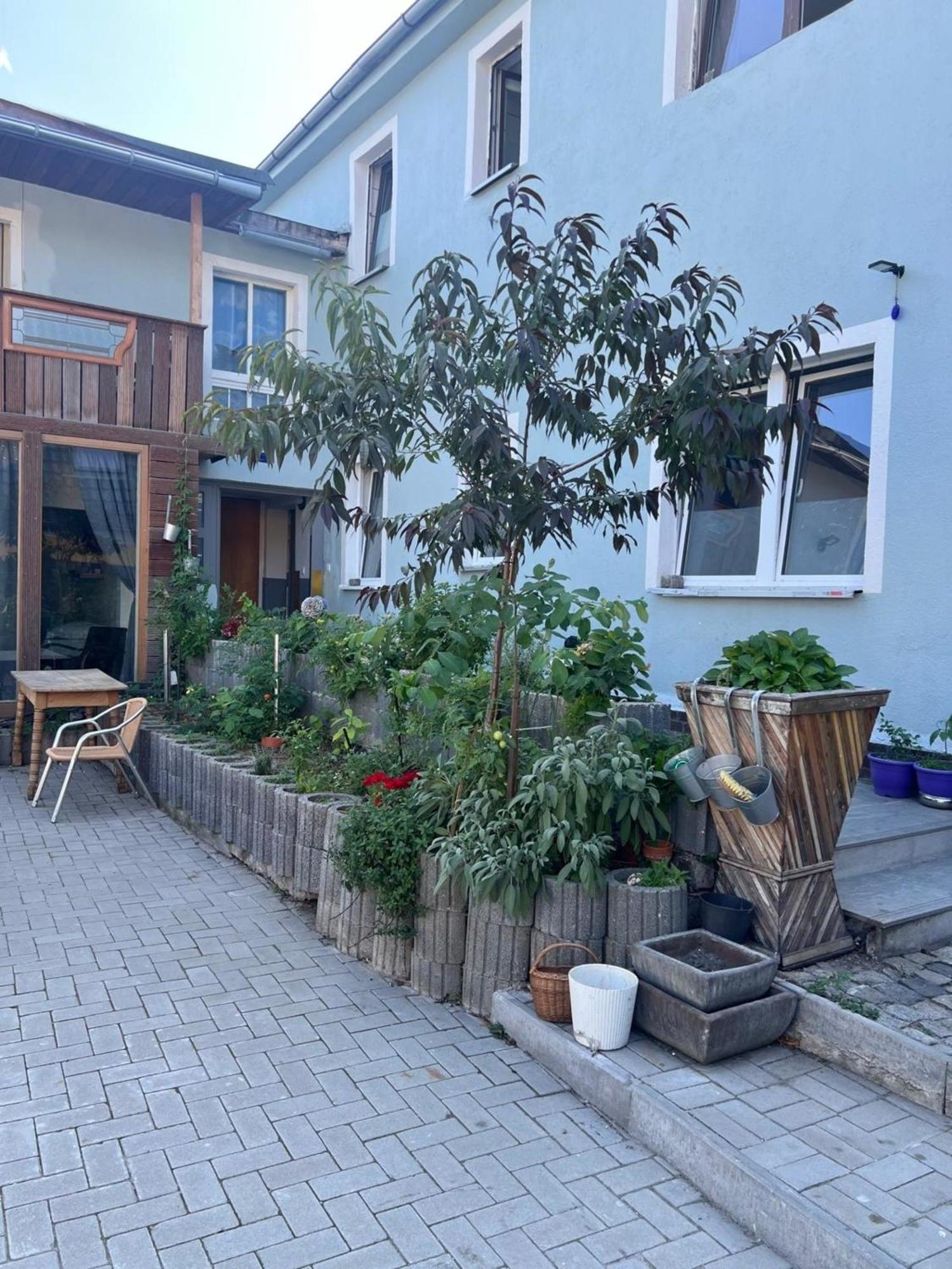 Ferienwohnung Antike Wohnmoeglichkeit Kurz Und Langfristig 100Qm Erdgeschoss Lauchhammer Exterior foto
